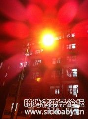 晚上的路灯，也会像花儿一样盛开……