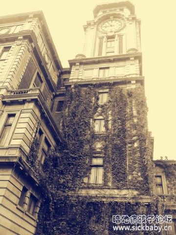 这样的建筑让人安心