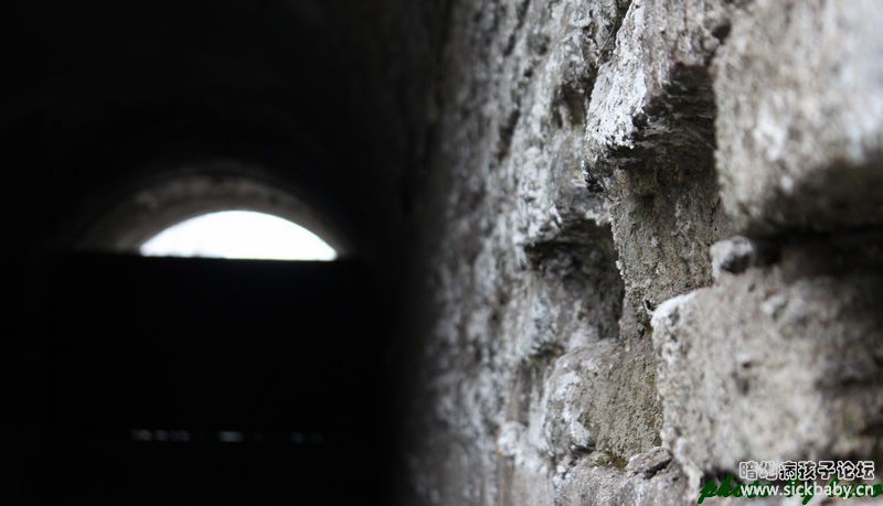 冒着掉水里的危险拍的