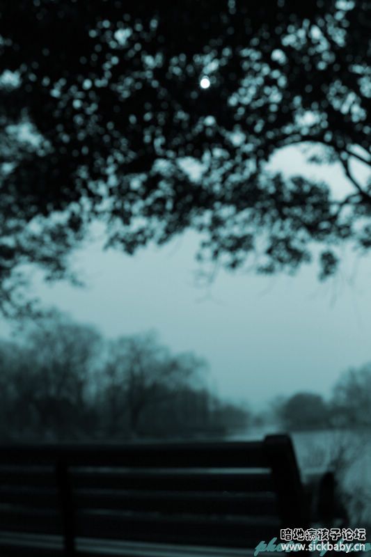 看不到看风景的人