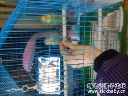 我的小乖小贱。