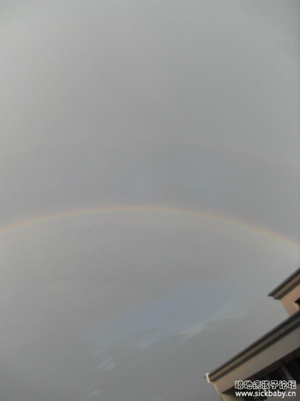 彩虹4.jpg