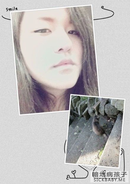 山下一家人家的猫 