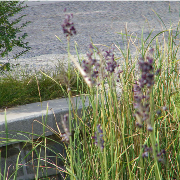 照片 146 副本.jpg