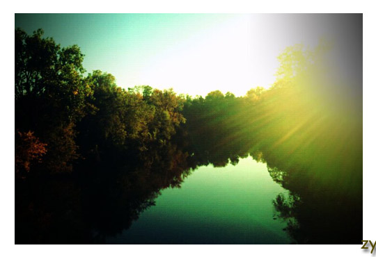 树在河面上看到自己的倒影 你却无法在倒影里找到你原来的样子