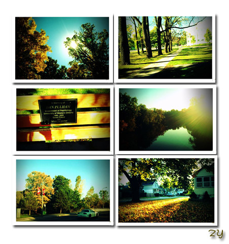 那些不死的秋天，是多么令人怀念