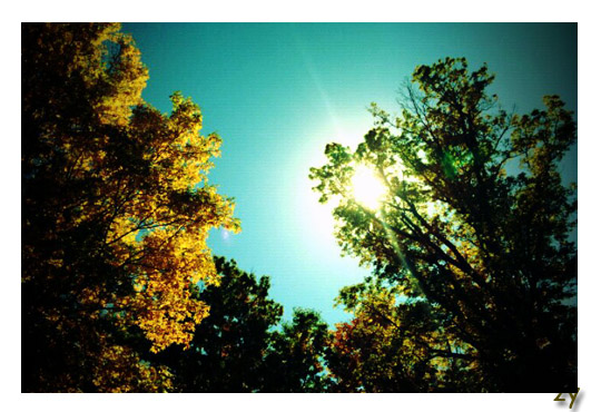 总是试着排除太阳