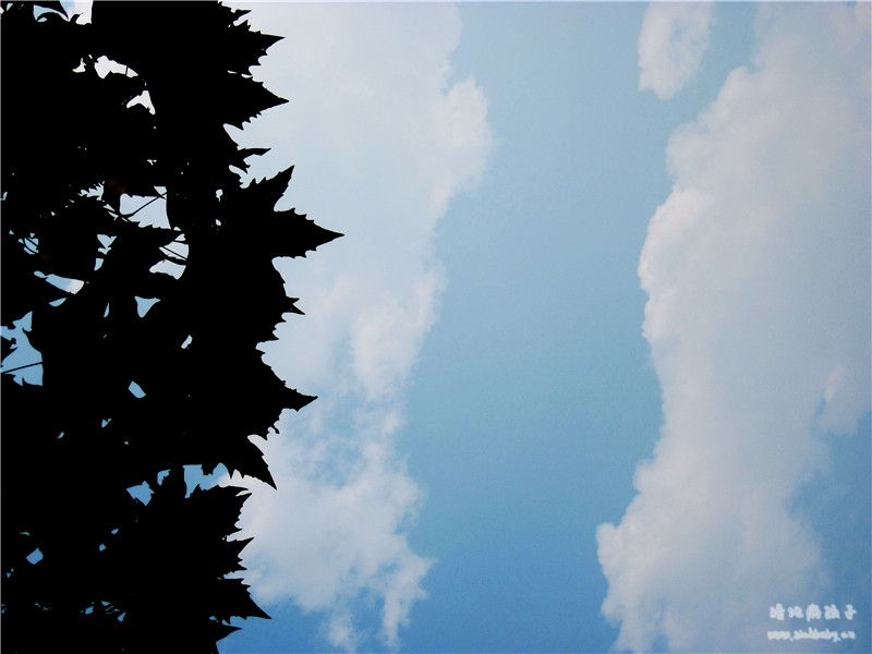 photo 276_副本.jpg