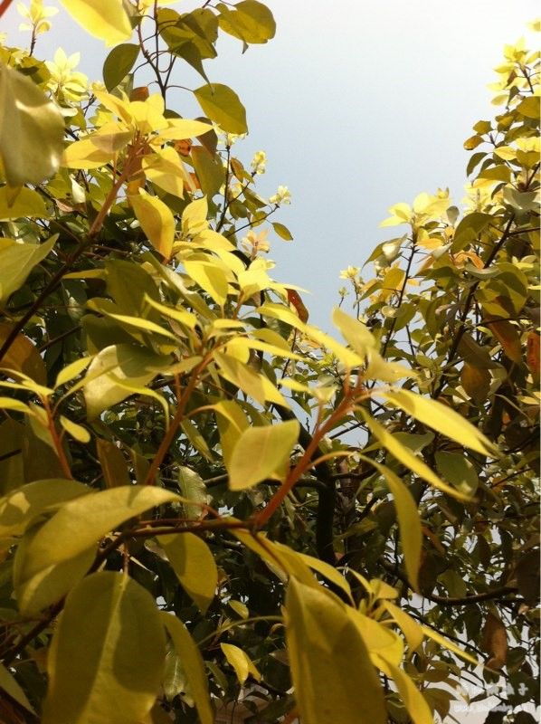 里这是我成长的地方 这里是梦想成熟的地方