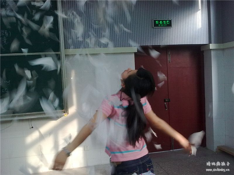 6.9早晨，大家撕试很卷疯狂