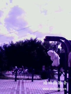  话说  是人挂在上面晒的