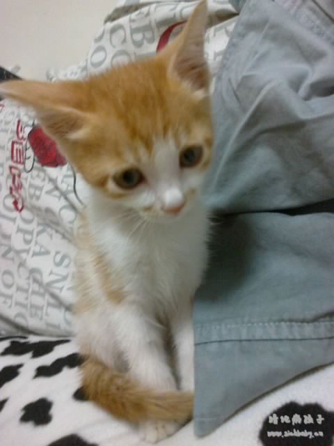 俺闺女的大眼睛啊、、、