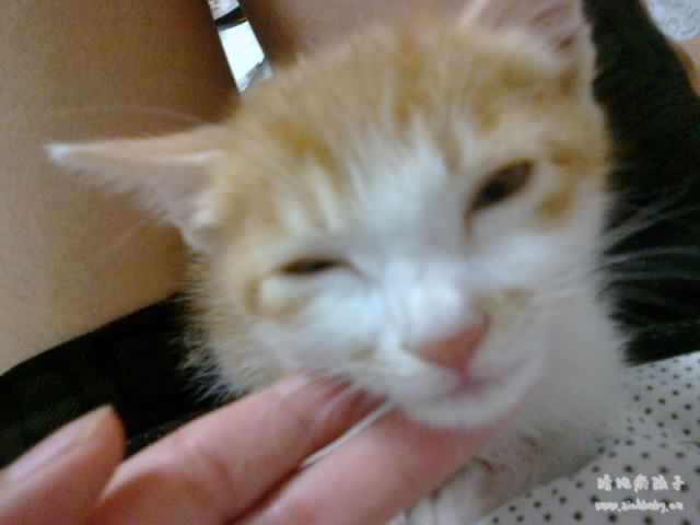 嘿嘿，眼神很像我