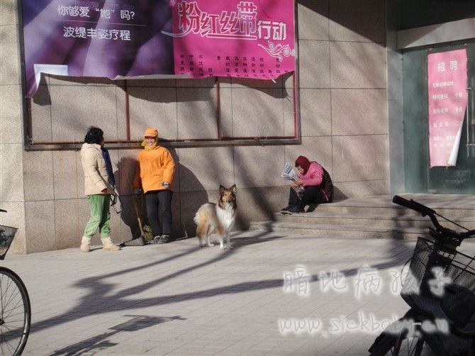 在等车的街道上